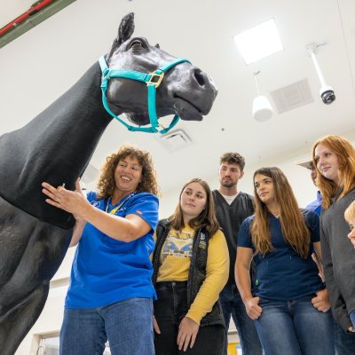 Instructor and students with horse model