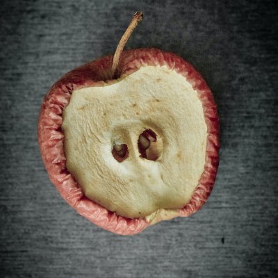 Dried out apple on a dark gray background.