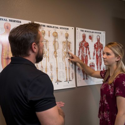 View of a pre-professional chiropractic student pointing at a map of the skeletal system.