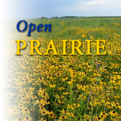 Open Prairie