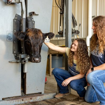 Two students kneel next to a cow.