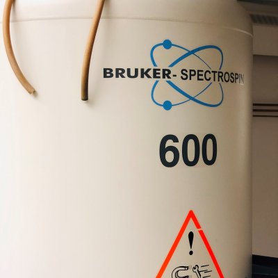 Bruker-Avance 600 Image