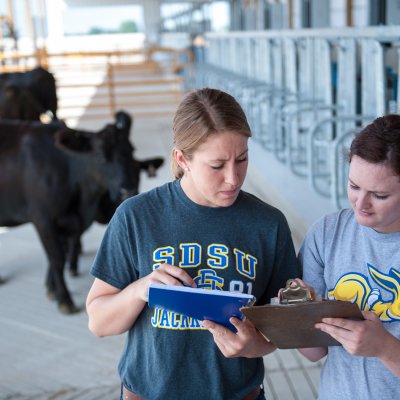 students looking at notebooks in cattle feedlot