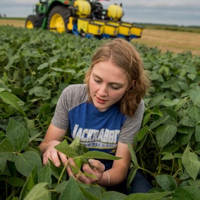 student looking at soybeans 