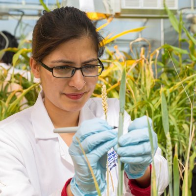 Researcher is marking plants