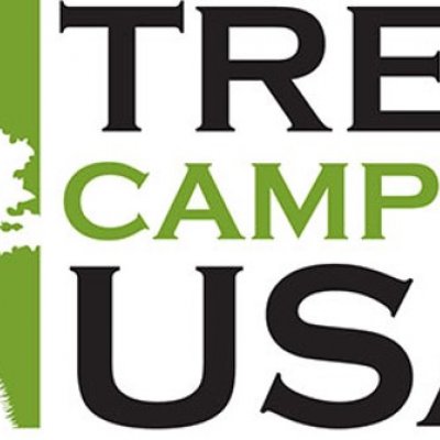 "The logo for Tree Campus USA. It has a drawing of three trees. It says Tree Campus USA."