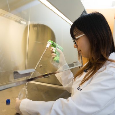 Graduate student working in lab