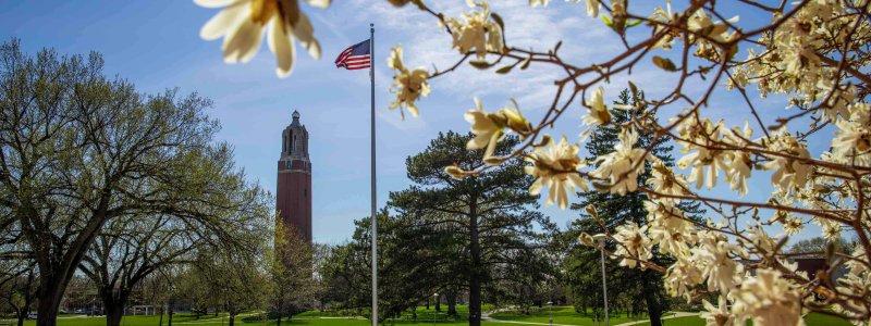 Image of the campanile with flowers framing the photo