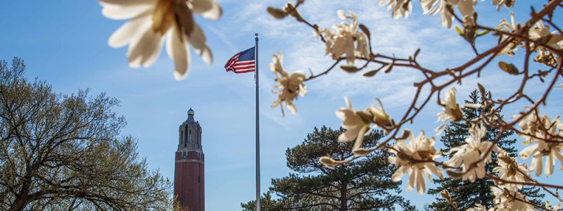 image of campanile and American flag with flowers framing image