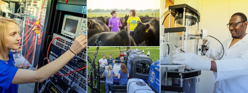 A collage of 4 images showing students and faculty performing research using electronic equipment, machines, cattle, precision agriculture vehicles, and lab equipment 