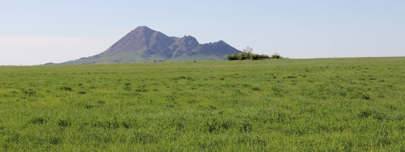 landscape image of Sturgis field station