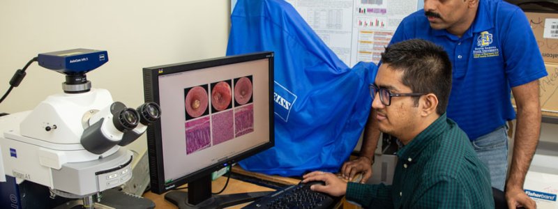 Doctoral student Siddharth Kesharwani, left, and Associate Professor of Pharmaceutical Sciences Hemachand Tummala examine images of the colons of mice 