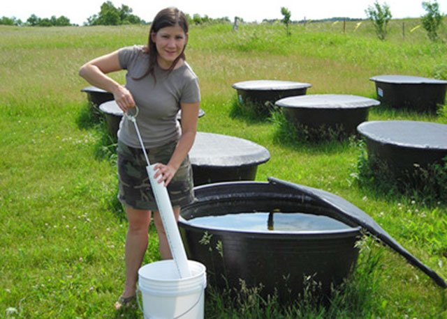 Student conducting mesocosm research