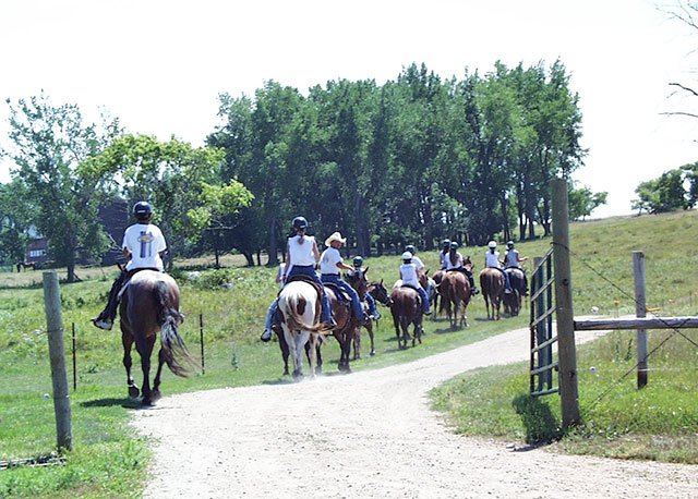 Students learning to ride horses