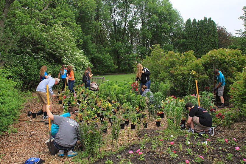 volunteers working in the gardens