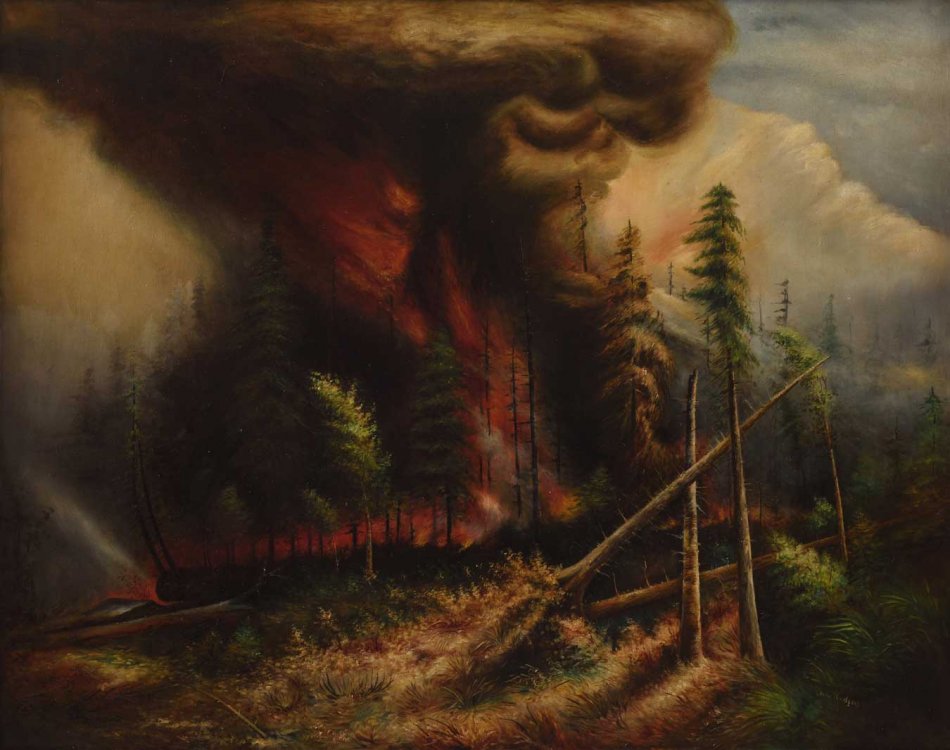 Laura Rodgers, untitled painting of a forest fire