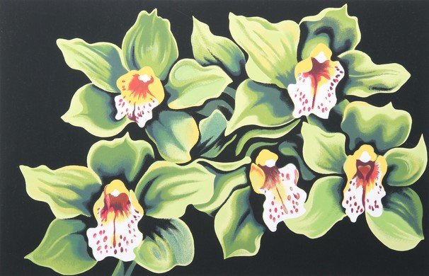 Lowell Nesbitt, "Green and White Irises," silkscreen, 1980. South Dakota Art Museum 2013.05.259. Gift of Neil C. Cockerline in memory of  Florence L. Cockerline