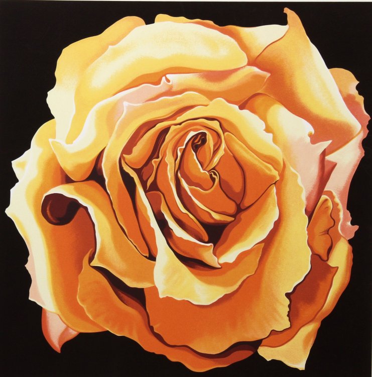 Lowell Nesbitt, "Yellow Rose," silkscreen, 1982. South Dakota Art Museum 2013.05.255. Gift of Neil C. Cockerline in memory of  Florence L. Cockerline