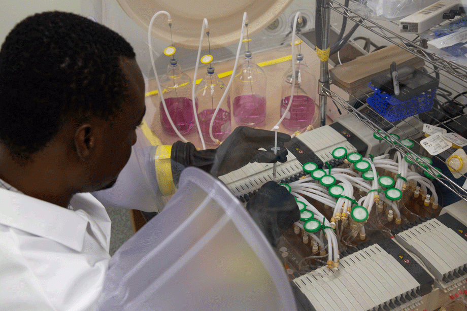 Doctoral student Seidu Adams takes samples of gut bacteria from minibioreactors