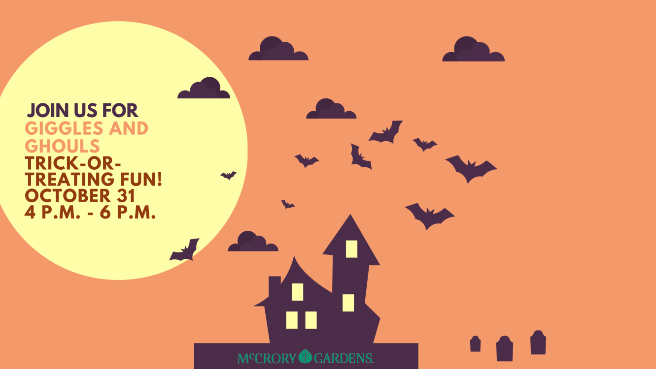 Join us for Giggles & Ghouls Trick-or-treating fun October 31, 4p.m. - 6p.m.