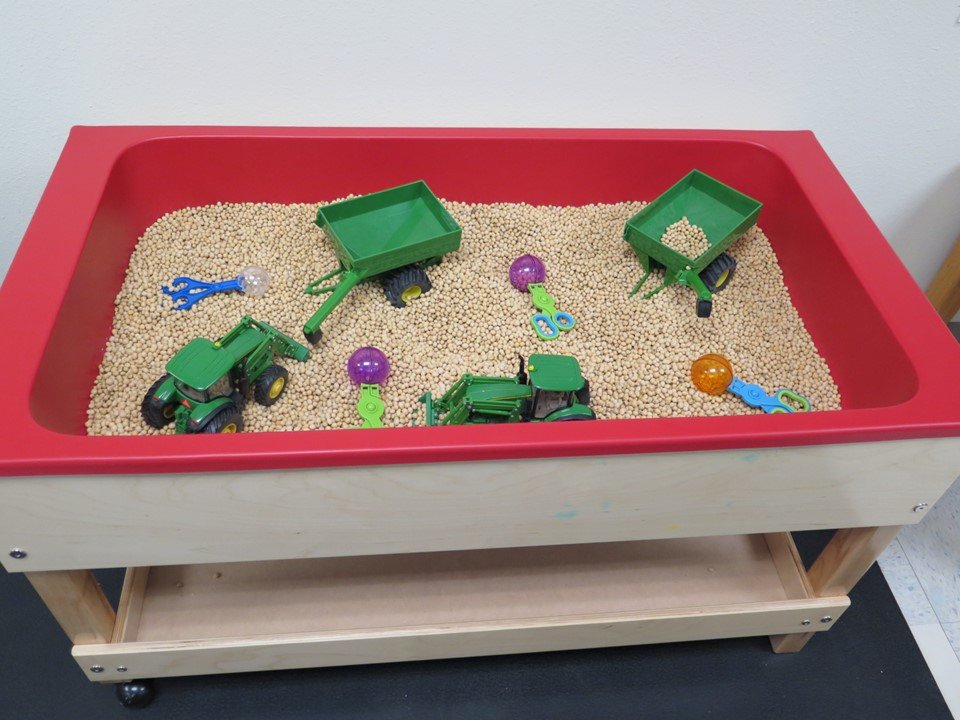 In the sensory table there are farm equipment, soybeans and scissor scoopers.