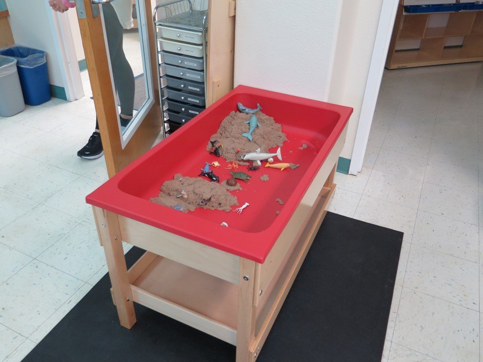 In the sensory table there are animals and sand.
