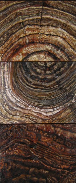 John Schuerman, "Toadstools,"  36x13, oils on canvas, 2006. SDAM