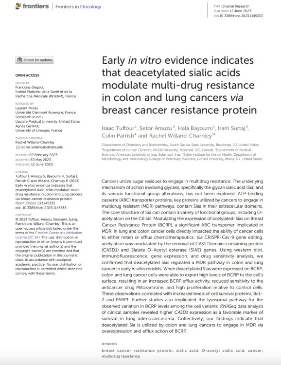 First page of article in Frontiers in Oncology entitled Early in vitro evidence indicates that deacetylated sialic acids modulate multi-drug resistance in colon and lung cancers via breast cancer resistance protein.