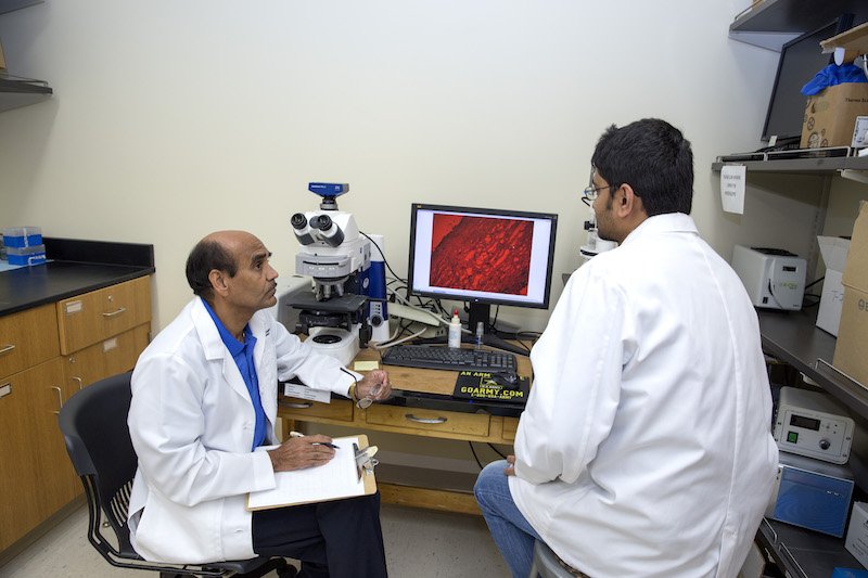 Student and faculty using microscope