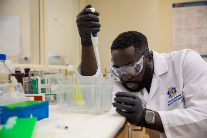 Doctoral student Albert Armoo performs Western blot to ensure specific genes are absent