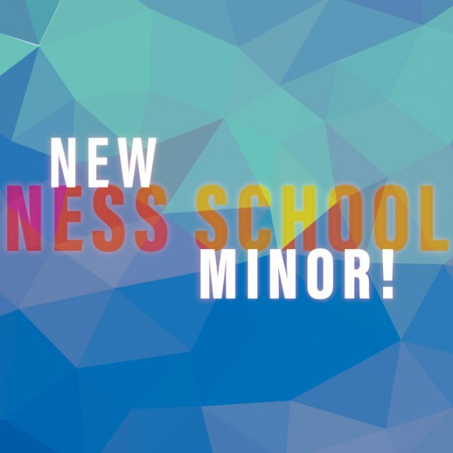 New Ness School Minor