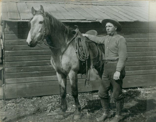 Cowboy and horse, ca. 1890-1900