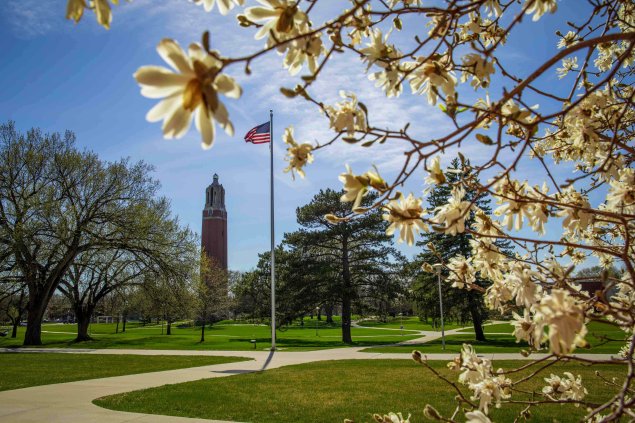 Image of the campanile with flowers framing the photo