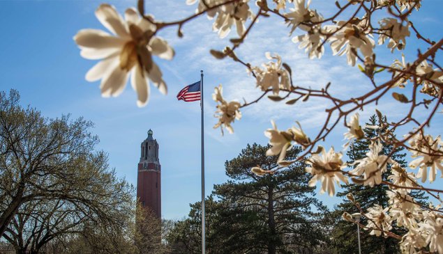 image of campanile and American flag with flowers framing image