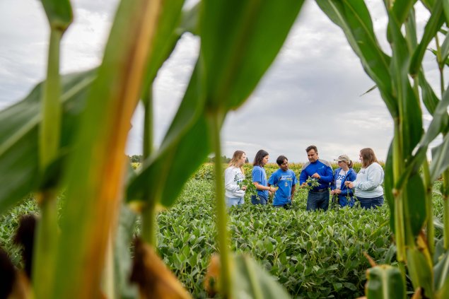 students in a soybean field 