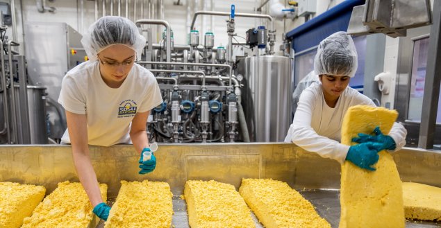 Davis Dairy Plant Cheese Making - 2