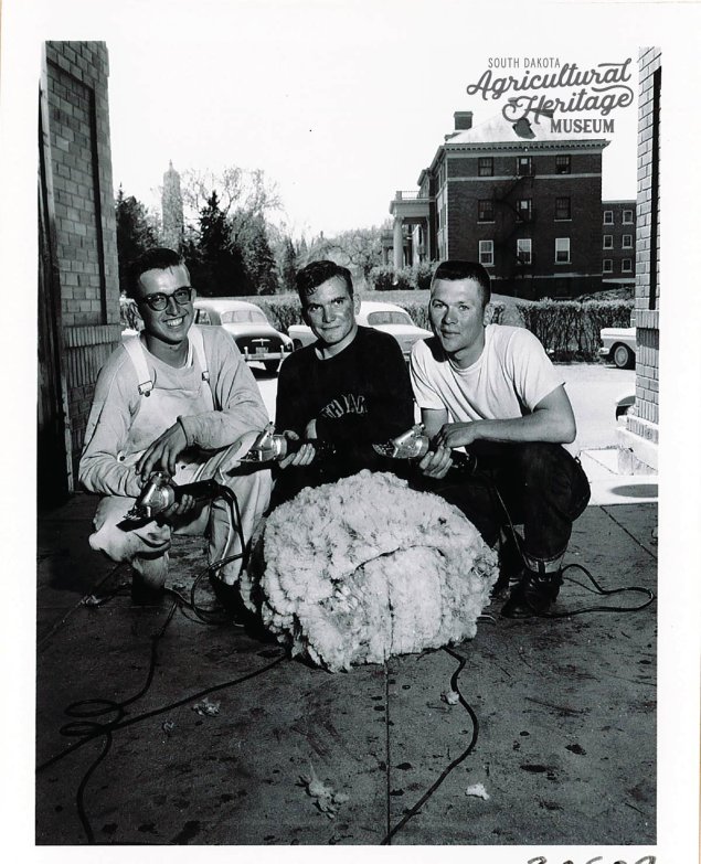 Three college students (Darrell Spinler, Eugene Dooley, and Orville Barrington) kneel behind a pile of wool.
