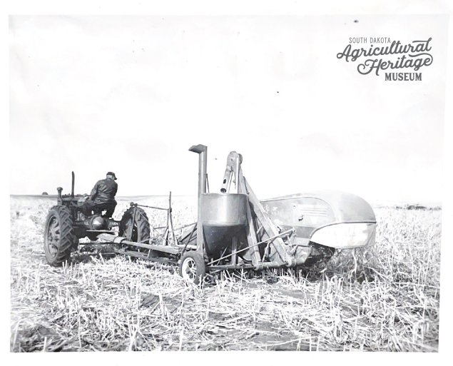 Black and white photo of a man driving a tractor harvesting sorghum.