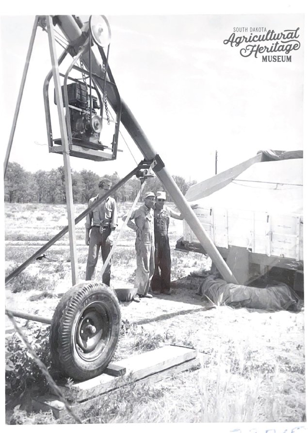 Black and white photo of three men monitoring oats being moved in an auger.