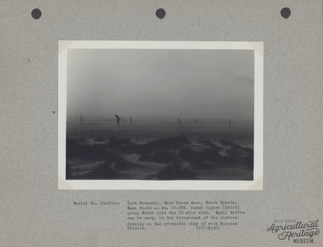 Black and white photo of a man walking through a dust storm.  There are drifts of soil surrounding the man on the ground.  The photo is backed on a gray paper that reads "Serial No. 33-202:- Iowa Township, Shue Creek Area, South Dakota. Same field as No. 33-201, human figure (Caird) going South into the 26 mile wind.  Small drifts can be seen, in the foreground of the picture, forming on the protected side of each Russian Thistle. (10/15/35)"