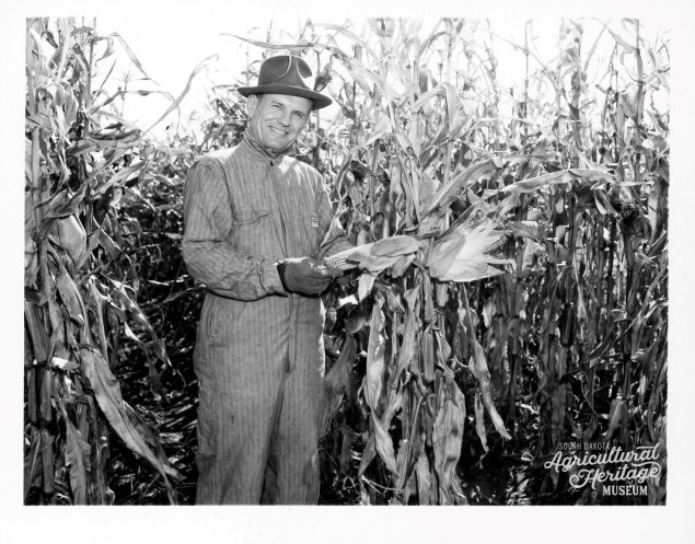 Hilton M. Briggs in corn field 
