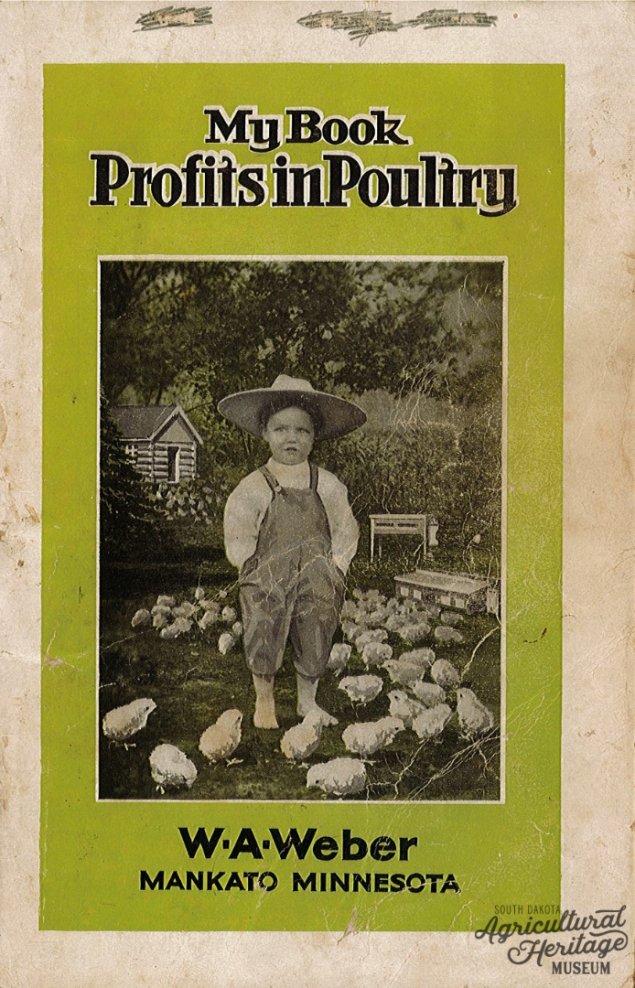 2023:024 Softcover book with green title and black words reading "My Book Profits in Poultry" and "W.A. Weber, Mankato Minnesota".  In the center of the cover is a black and white image of a small child wearing overalls and a hat surrounded by white chickens.