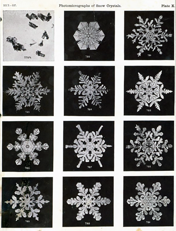 microscopic snowflakes