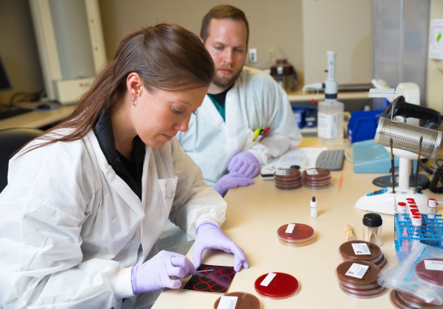 Students examining petri dish