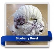  Blueberry Revel ice cream