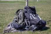 2 backpacks sitting against a tree