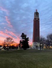 Campanile with a pink Sunset