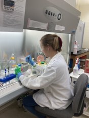 Undergraduate Student Working on Cell Culture