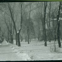 Snowfall in Brookings, ca. 1923
