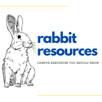 Rabbit Resources: Campus Resources You Should Know